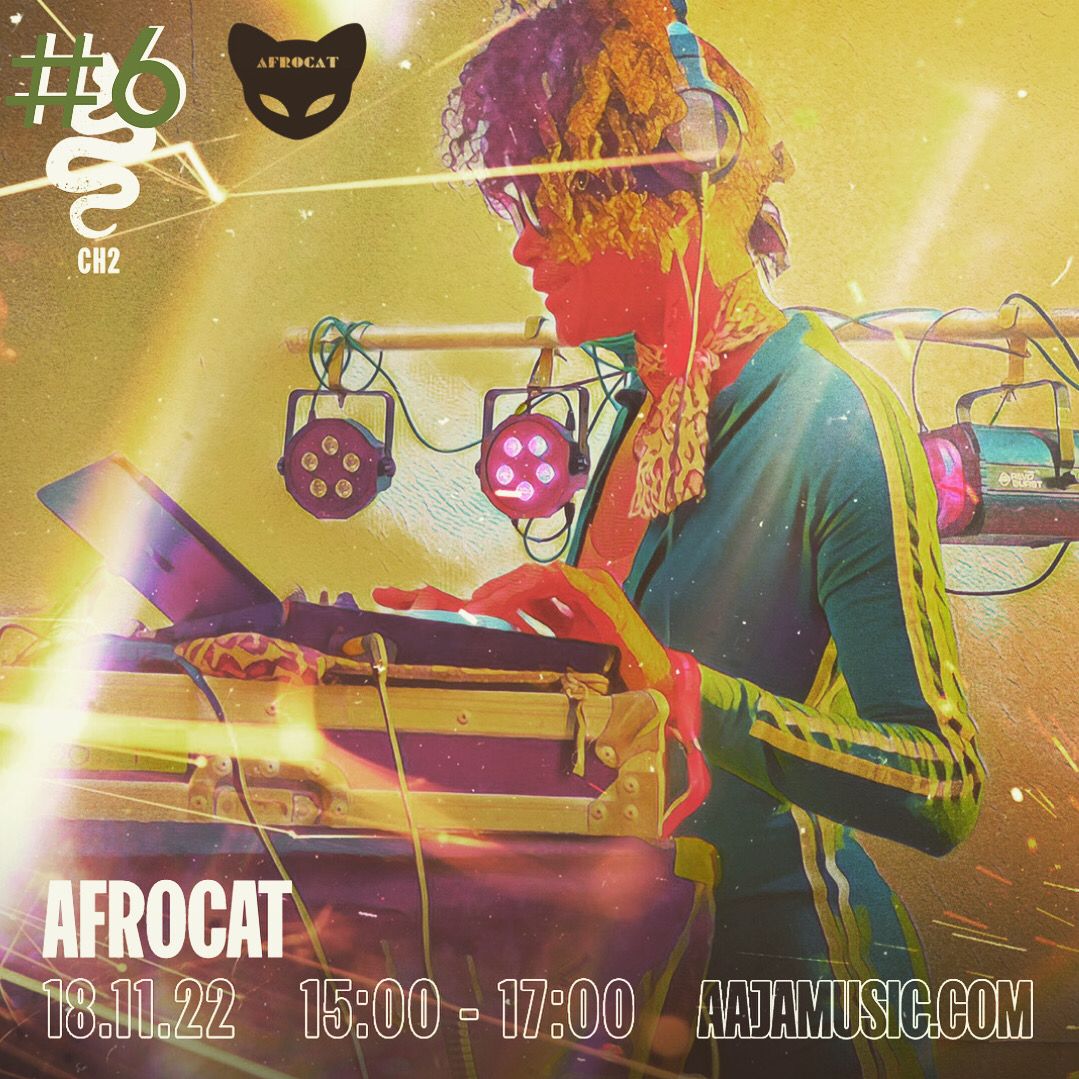 Afrocat Show 31